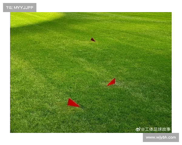 英超草皮管理:如何打造高标准球场以提升比赛质量和球员表现 英超草皮管理:如何打造高标准球场以提升比赛质量和球员表现